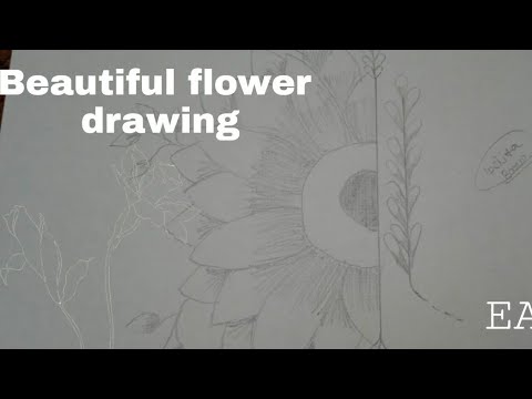 Easy flower drawing | Ipshita Barua | @ipshita 's drawing