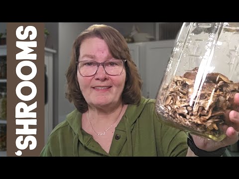 Easily Dehydrate Mushrooms into Powder at Home with Simple Steps