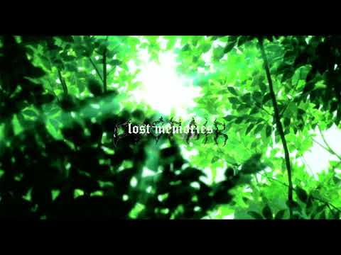 [FREE] 9tails x skele x guardin Type Beat - "lost memories" | (DESPAIRINTOASHES)