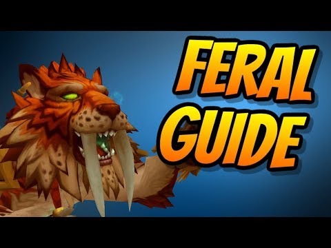 Feral Druid PvE Guide 8.0.1 | Talents & Rotation & Stats | World of Warcraft Battle for Azeroth