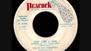 Willie Mae Thornton - Just like a dog