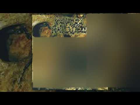 Katedra Patologii - Anatomical Disaster FULL ALBUM (2004 - Goregrind)