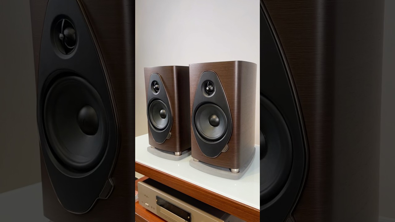 Sonus faber Sonetto II G2 unboxing #audiocostruzioni #audiophile #vinyl