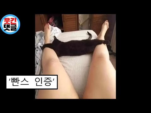 아이콘