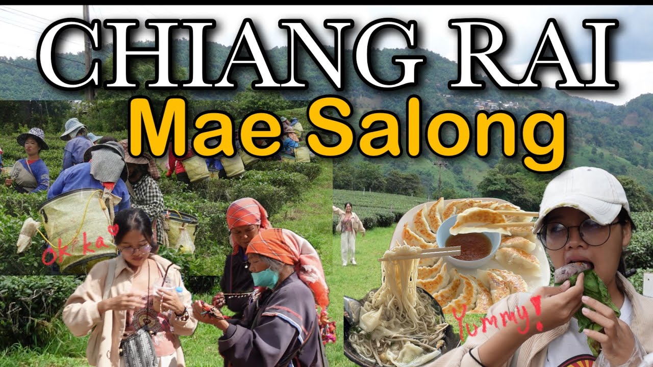 Experience the captivating visit of Doi Mae Salong with tourists in this video.