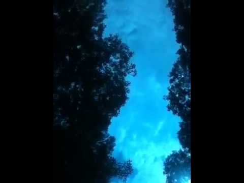 Finally " I feel&see you " Kings of Tomorrow  ||| Purplele