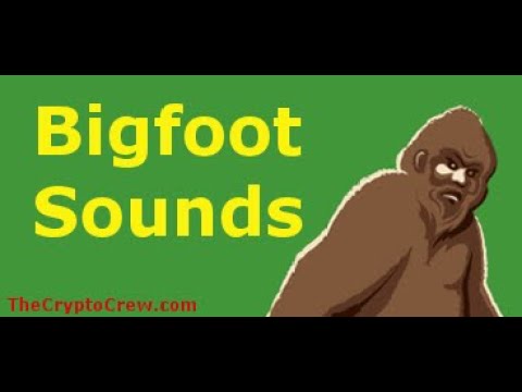 Possible Bigfoot Sounds Recorded in Mississippi | Enhancement