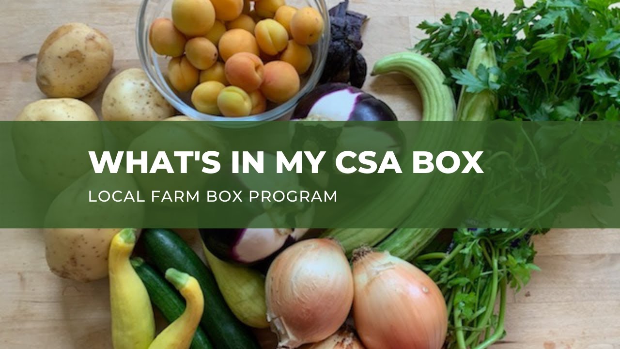 What’s in my CSA Produce Box