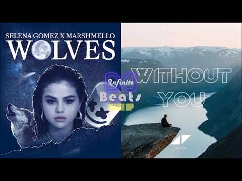 Selena Gomez & Marshmello - Wolves vs. Avicii & Sandro Cavazza - Without you (Infinite Beats Mashup)