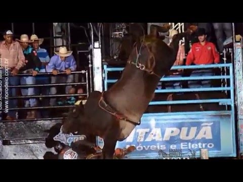 Retro Quintana 2014: Melhor Touro