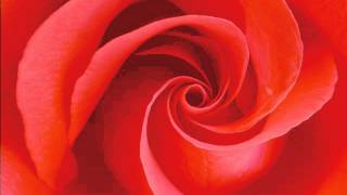 Baby Einstein Music Box Orchestra - Ah Vous Dirai Je, Maman