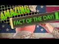 The Reality Of Military Rape Will Shock You