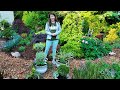 Planting, Pruning, and Potting - Busy in the Garden