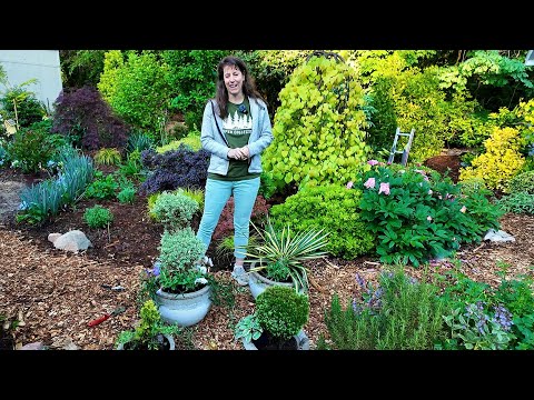 Planting, Pruning, and Potting - Busy in the Garden