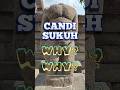 CANDI SUKUH ITU CANDI PORNO AH MASA Candisukuh Karanganyar Explorekaranganyar Jawatengah