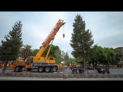 New brain imaging facility offers high-end preclinical MRI services to research community | Wu Tsai Neurosciences Institute