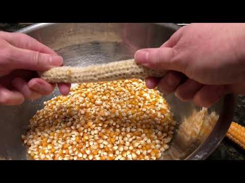 Popcorn: From Harvest to Popper