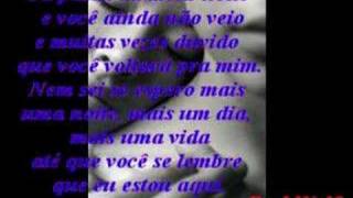 Pra Ser Sincero - Letra Engenheiro do hawaii