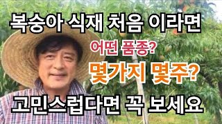 복숭아 어떤품종이 좋을까? 선택이 고민 스러우시죠?