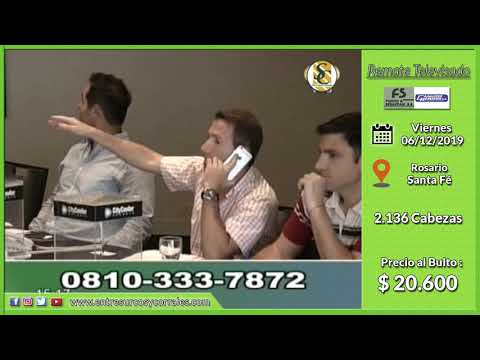 06-12-19 -  Venta de Vientres - Remate Televisado de Fiorito & Sebastiani - Santa Fé