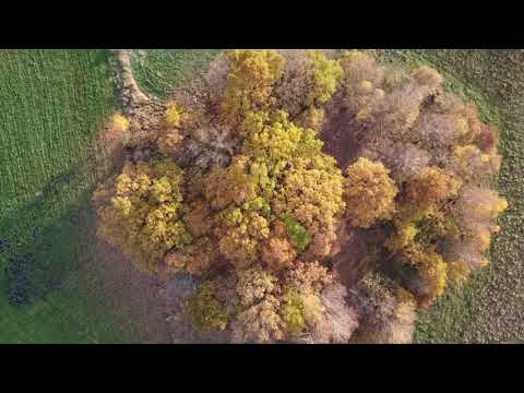 Świat z drona - polska jesień Warmia i mazury 2020