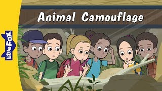 Animal Camouflage | Science | Animals | Little Fox | Bedtime Stories