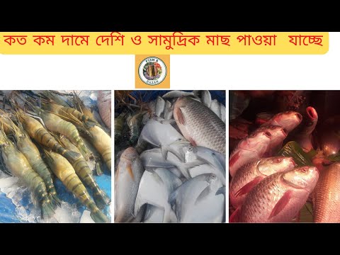 Awesome Site Distributes Sea Fish, Pond Fish & River Fish @fishmarket  II Morning Fish Market#fish