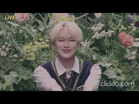 240612 Just a Little Bit +TFW + Orange Flower  #FATEPLUS_IN_SAITAMA_D2