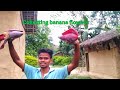 Collecting Banana Flowers Elethrusvlogs1852