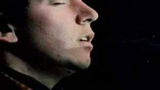 the animals paint it black