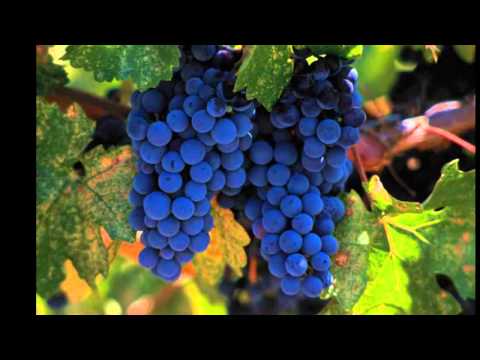 Traian Dorz - Hristos - Mărturia mea 05