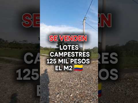 SE VENDEN LOTES (con escritura individual) #granadameta #colombia