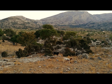 Το οροπέδιο του Καθαρού στην Κρήτη - Katharo plateau, Creta island