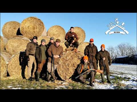 Kamarenje - Lov Lisica isterivanjem sa NLT/ Fox hunting in hay stack with NLT | E159