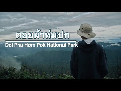 Welcome to Doi pha hom pok by.PAPAYAGA #ดอยผ้าห่มปก