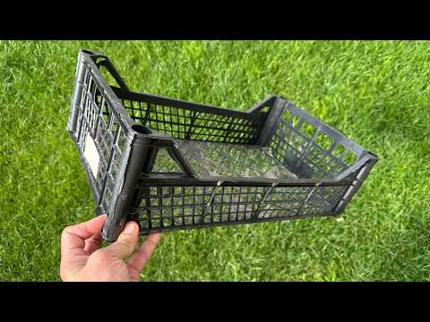 Never Throw Out Crates or Sponges Again – Here’s Why