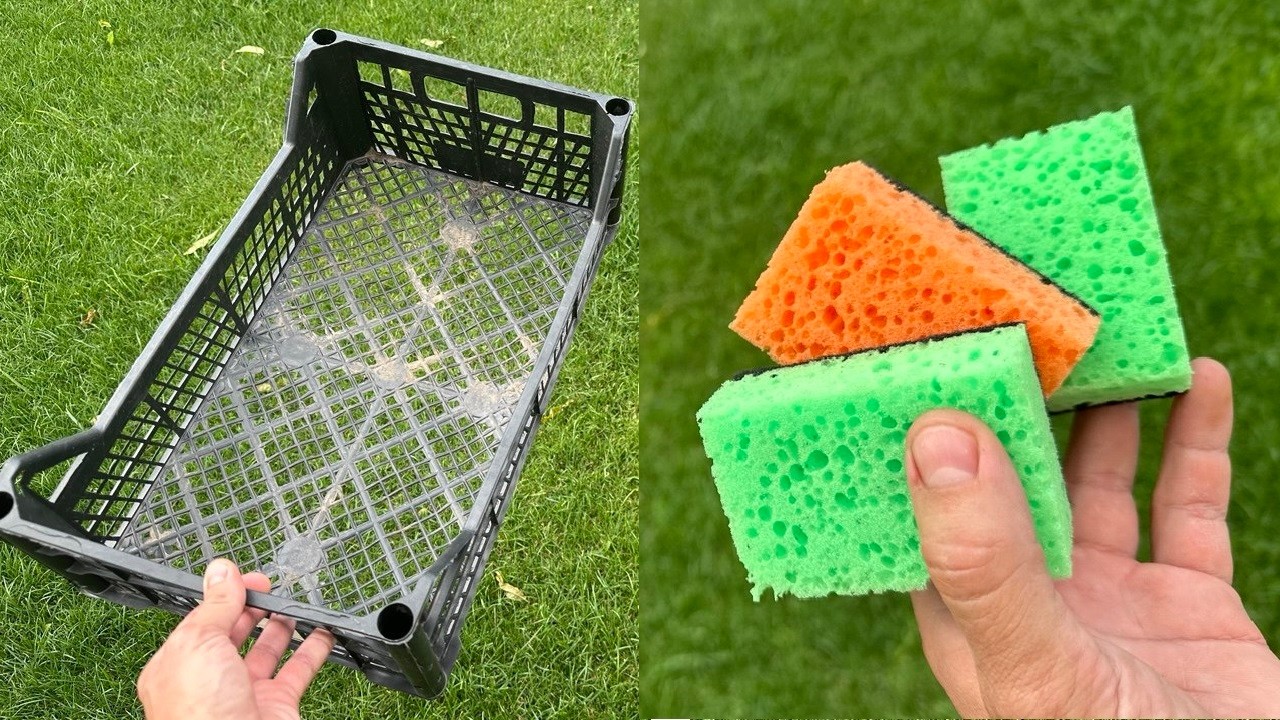 Never Throw Out Crates or Sponges Again – Here’s Why