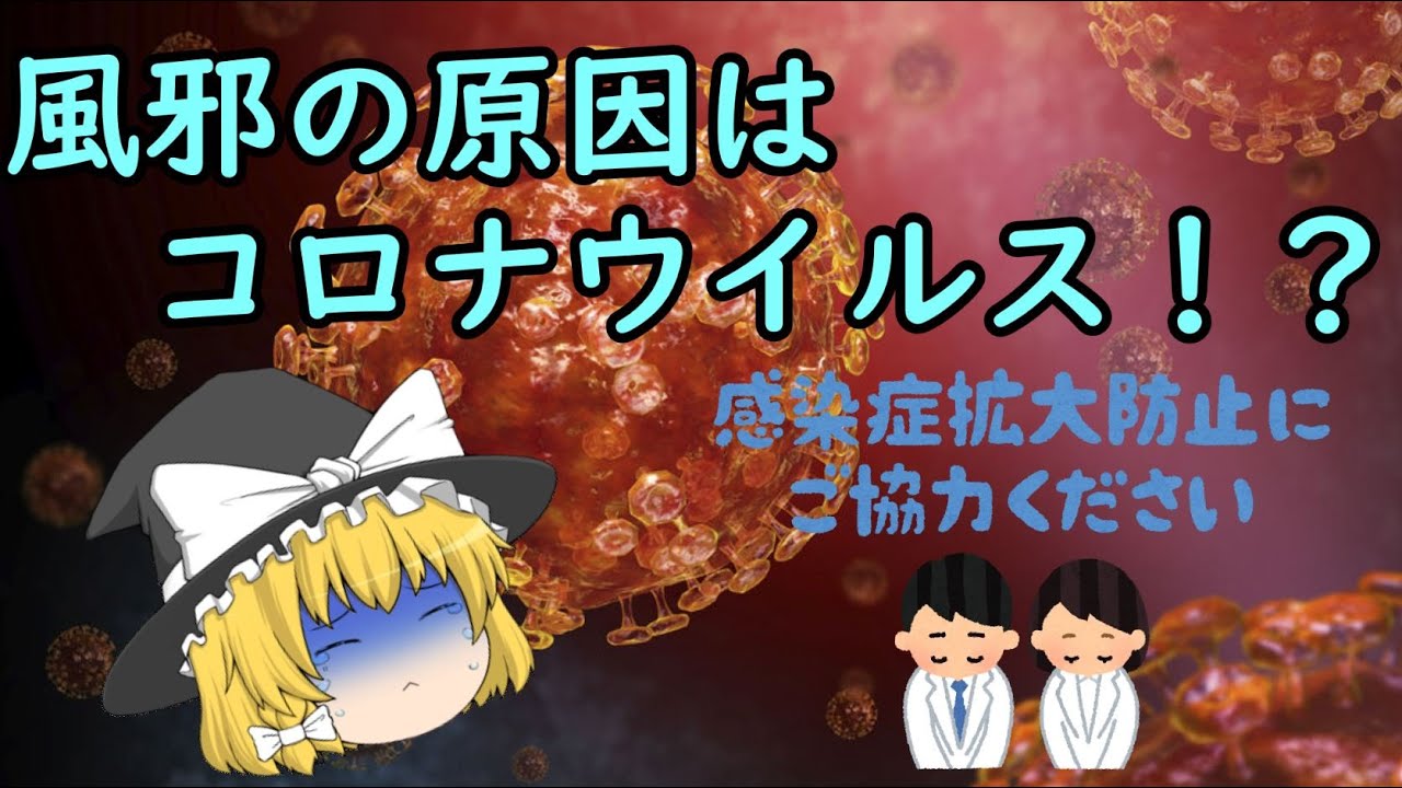 【ゆっくり解説】 実は風邪の原因⁉　コロナウイルス