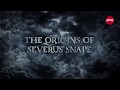 The Origins Of Severus Snape Harry Potter AMC Theatres 2018