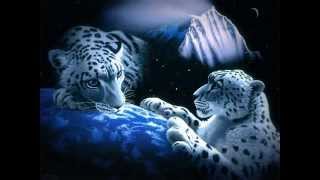 Voy a tener que olvidarla - Intocable