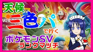 【天候三色】このおっさんまた思いつきで変なパーティ組んでるよｗ【ポケモンSV】