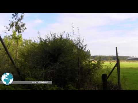 Baustopp der Ostumgehung