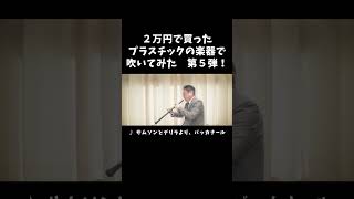 Download lagu #サンサーンス2万円で買ったプラスチックのオーボエで吹いてみました。第5弾は #サムソンとデリラ より#バッカナール です! #oboe #familyreed #吹奏楽 #アセチル化リード mp3 Download lagu #サンサーンス2万円で買ったプラスチックのオーボエで吹いてみました。第5弾は #サムソンとデリラ より#バッカナール です! #oboe #familyreed #吹奏楽 #アセチル化リード mp3