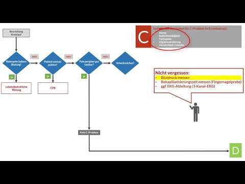 Das ABCDE-Schema im Rettungsdienst- C-Problem Algorithmus