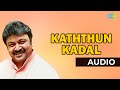 Kaththunkadal Audio Song Kattumarakkaran Prabhu Ilaiyaraaja Hits
