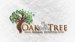 preview picture of video 'Tampa Animal Hospital | Oak Tree Animal Hospital Tampa FL 33604 (1.813.935.2080)'