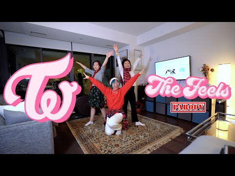 【Ky】TWICE(트와이스) — THE FEELS DANCE COVER(Parody ver.)[🎄Christmas Special✨]