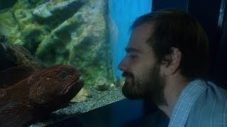 Sokcho, South Korea | May 14 - 21, 2010 (1 of 2) | RTW Ep.74
