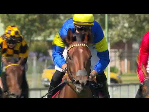 Telegraph Sprint 2025 - GRAIL SEEKER (3YO+ WFA G1) Group 1 Trentham NZ 4 January