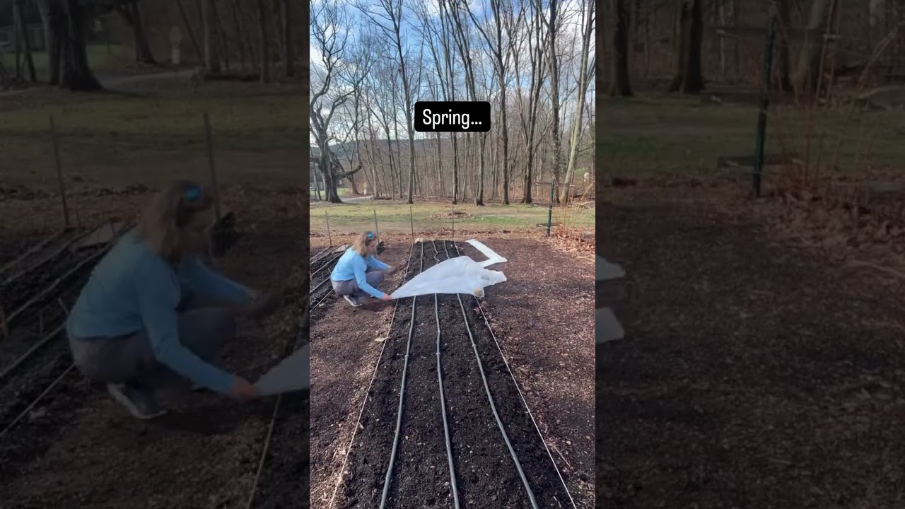 When spring springs a little earlier than usual… Have a gardening question? Ask away! I’ve been